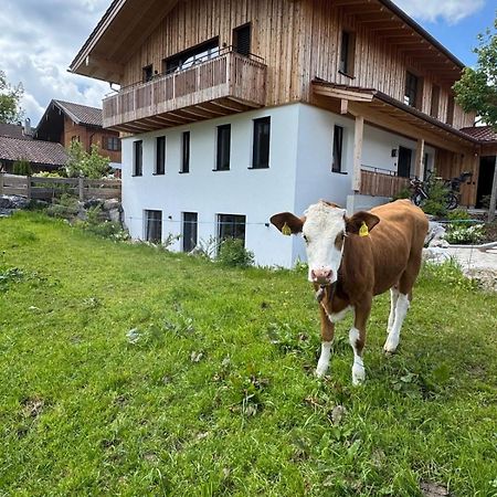 Ferienwohnung Gschwendt Miesbach Eksteriør billede